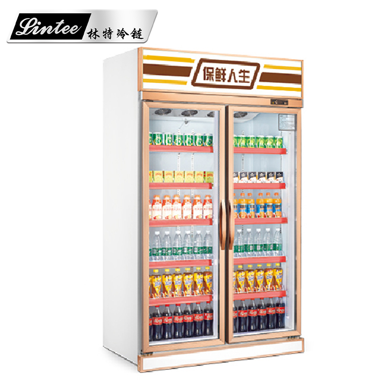 金属整体双门 - 商超冷柜_便利店冷柜_风幕柜_冷库厂家-中山市林特